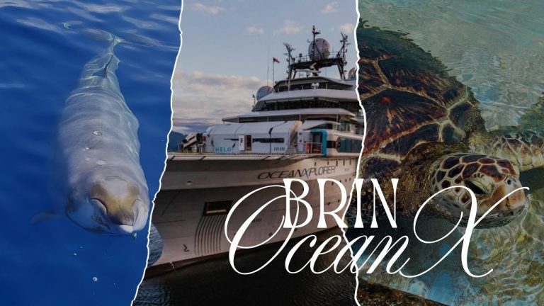 Ekspedisi BRIN-OceanX