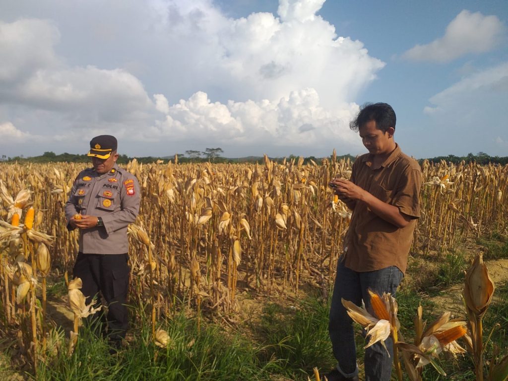 Ketahanan Pangan Polres Singkawang