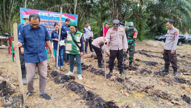polres landak tanam jagung serentak