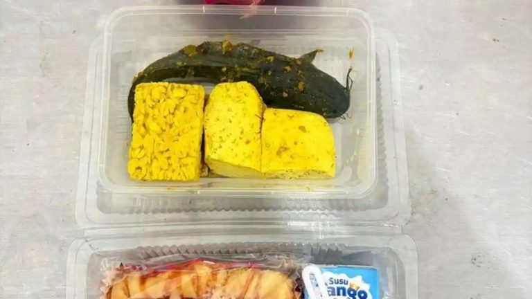 lele mentah di menu MBG